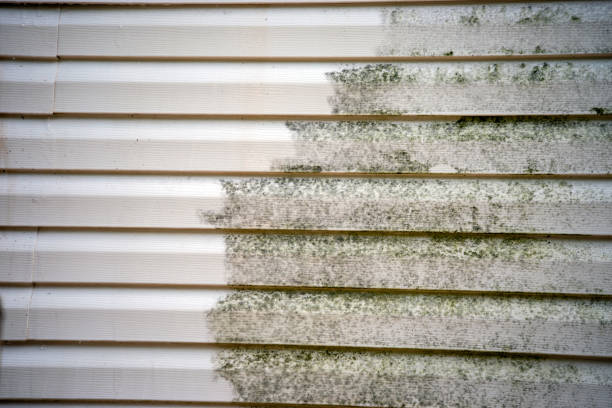 Best Fascia and Soffit Installation  in Alderton, WA